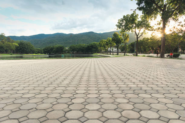 Best Local Driveway Pavers  in Naples, UT